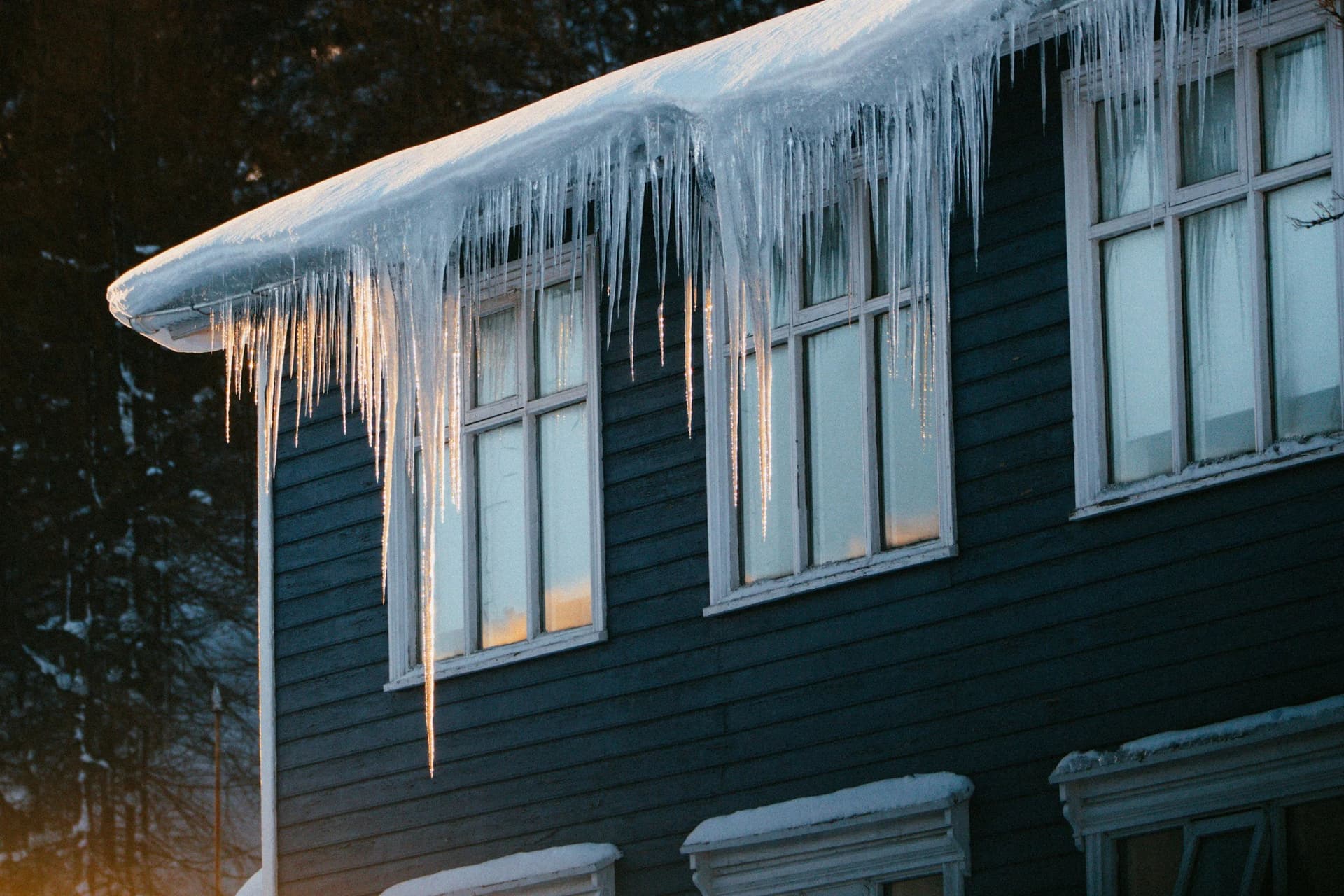 Blog post What You REALLY Need to Know About Ice Dams image