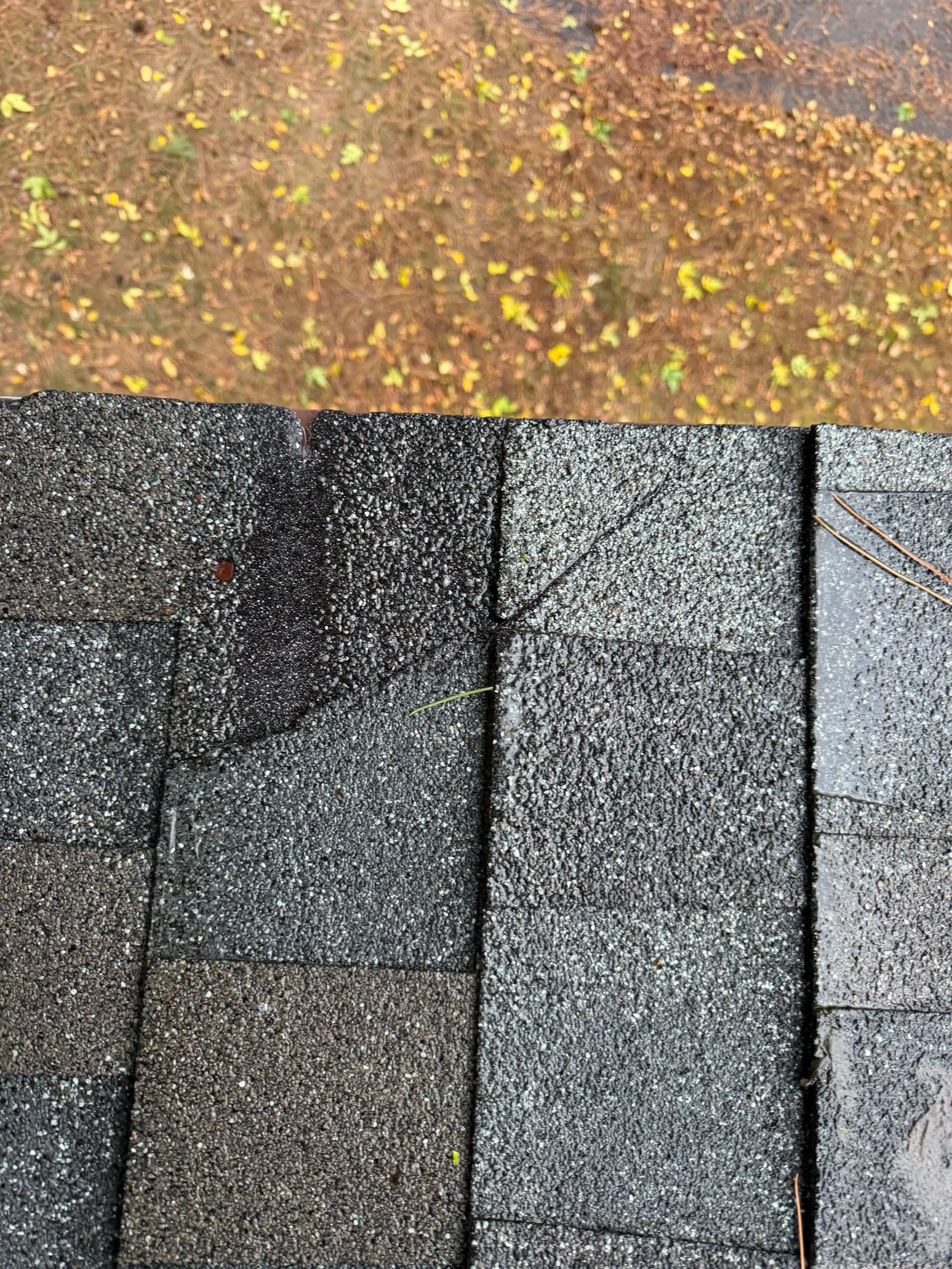 Blog post What Causes Shingles to Blow Off During High Winds? image