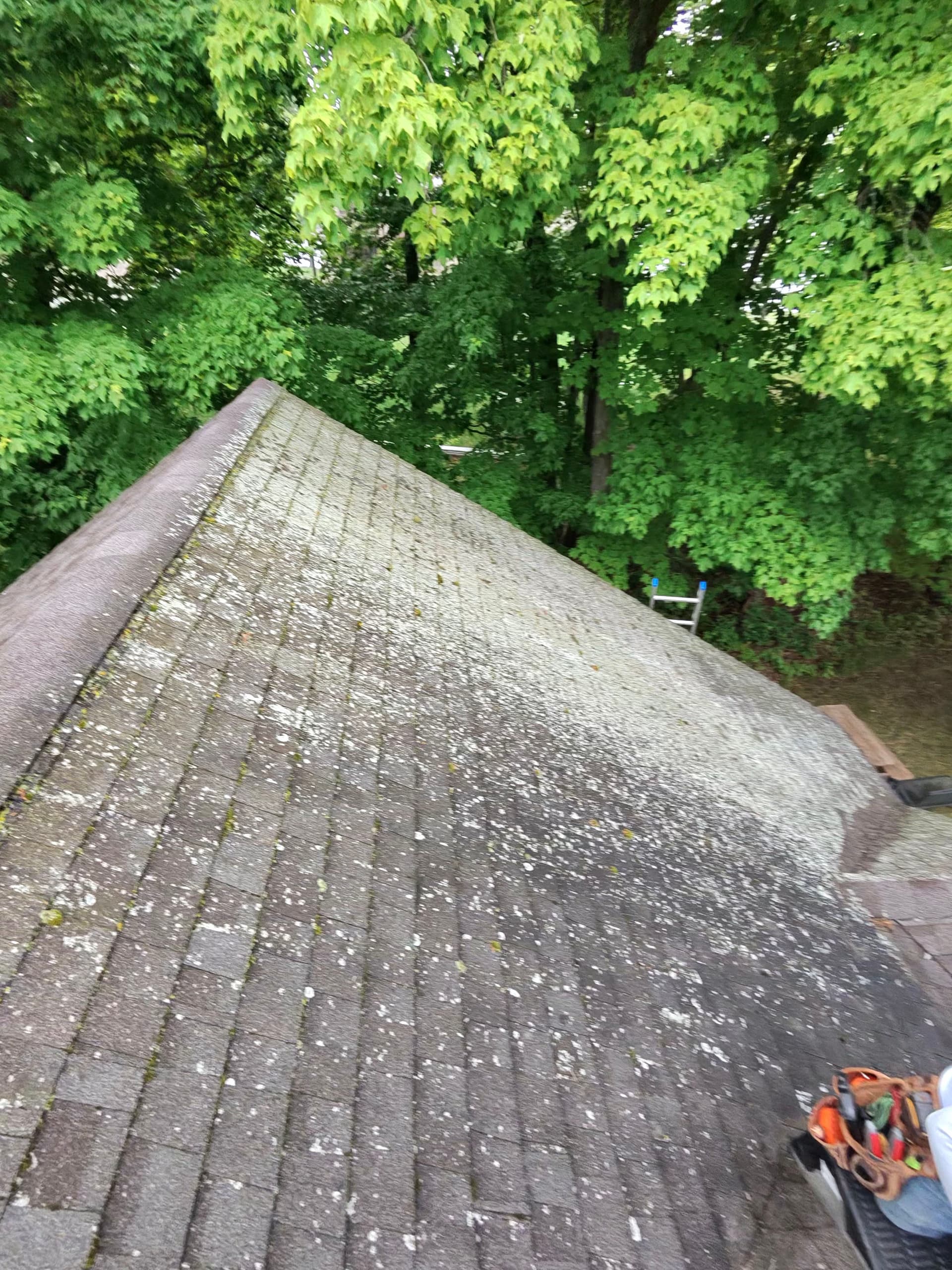 Roof Valley Repair, Flashing, and Full Roof Wash on a Lakefront Home