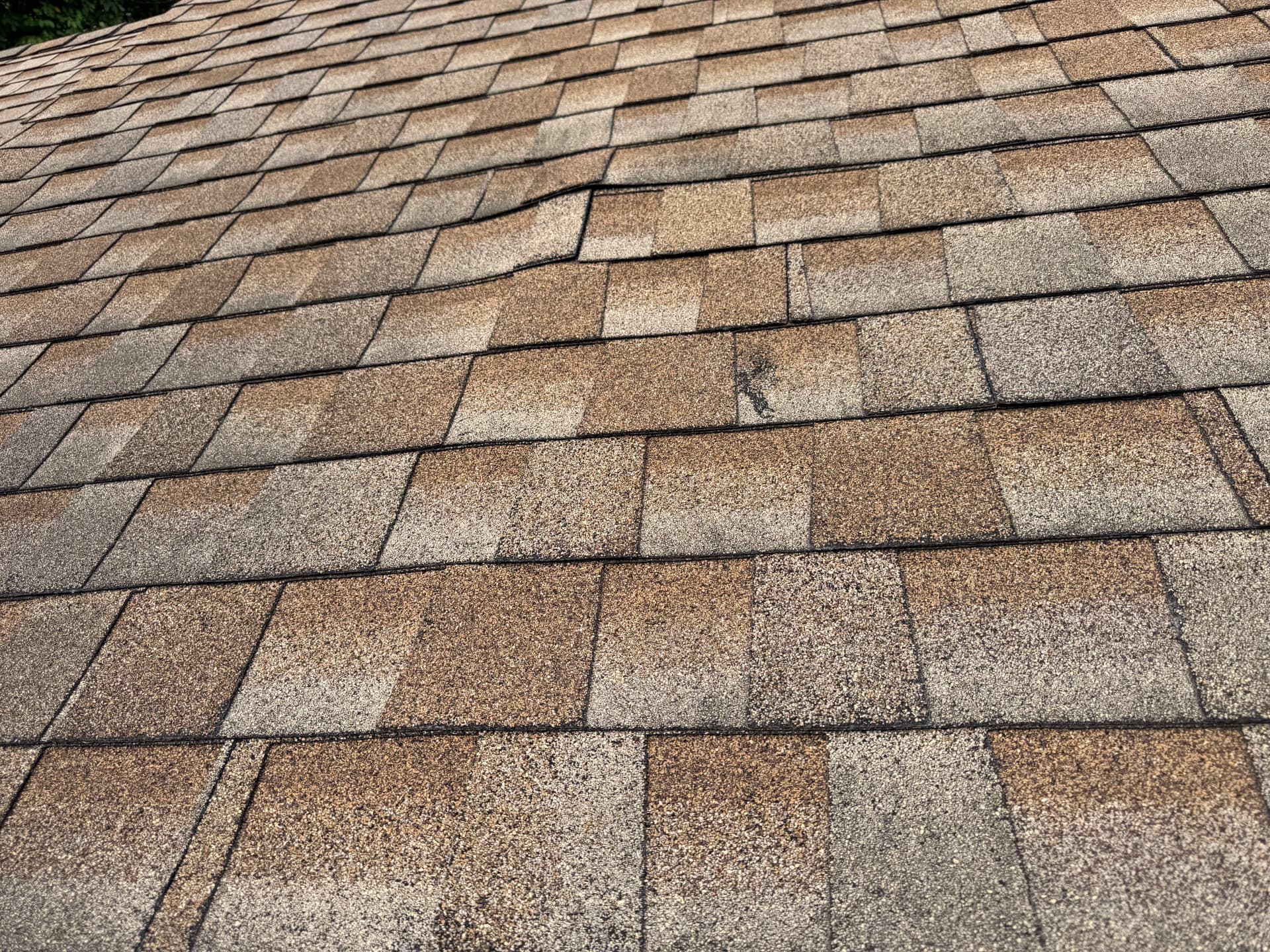 Winter Damage Goes Deeper Than the Shingles image