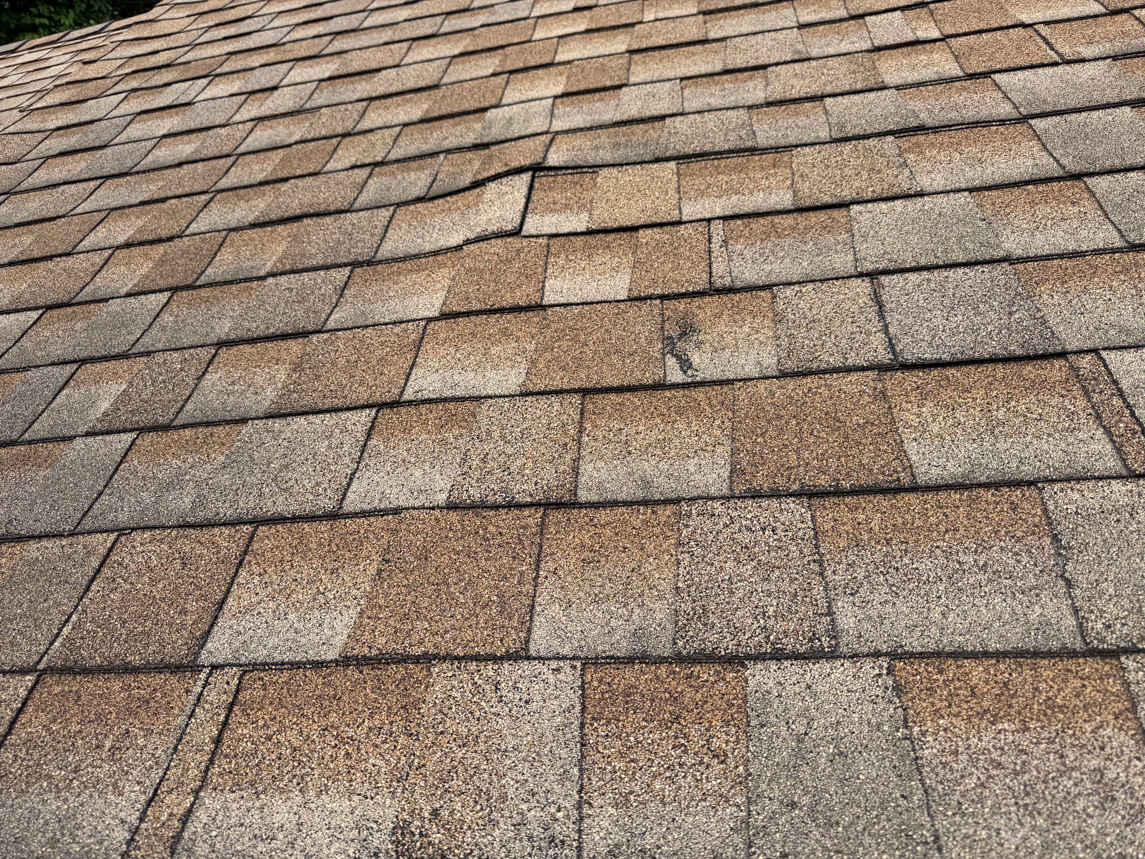 Project Winter Damage Goes Deeper Than the Shingles image