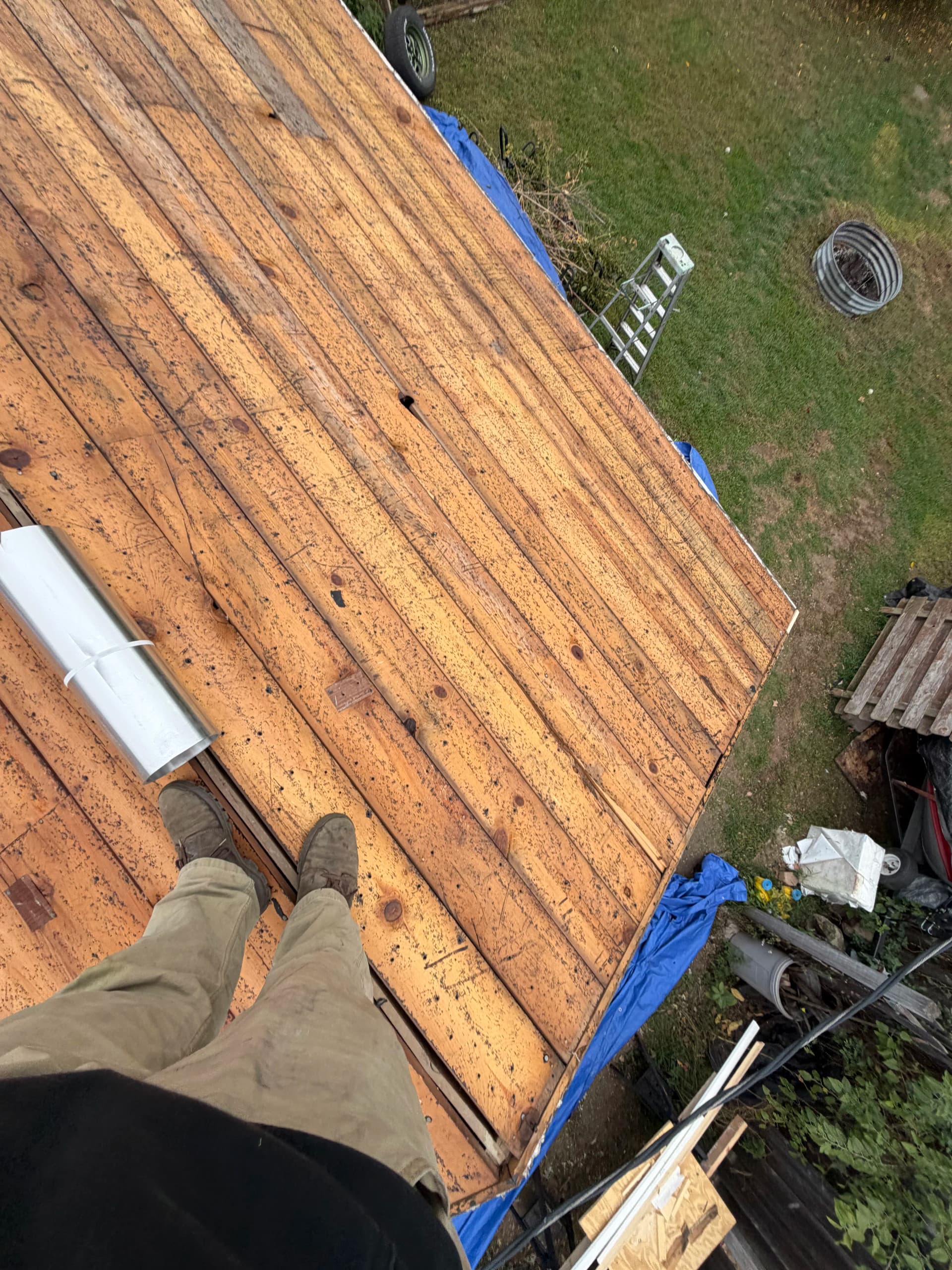 Are Squirrels, Birds, and Other Animals Destroying Your Roof? image