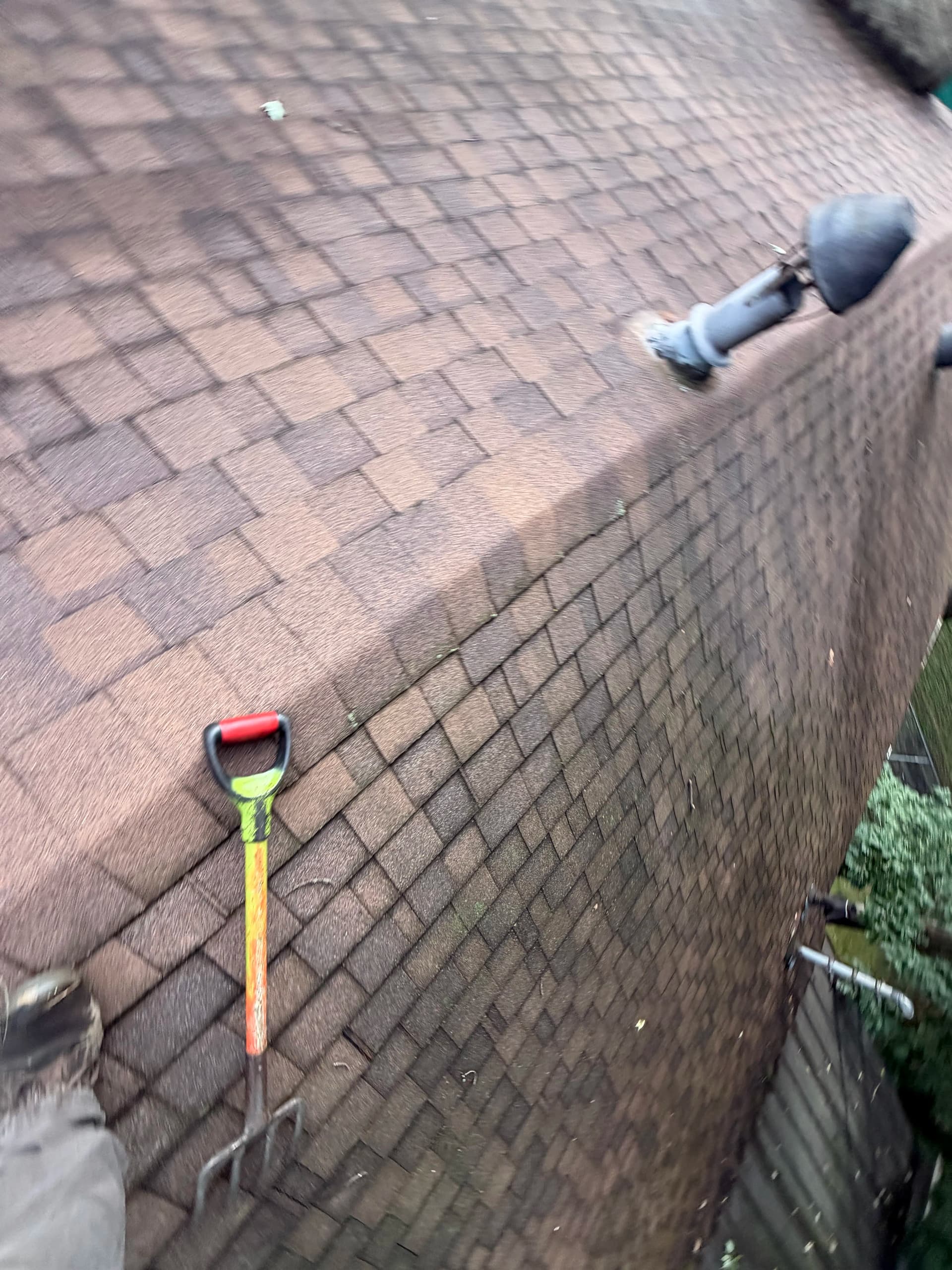What Are Those Ugly Black Streaks on Your Roof? image
