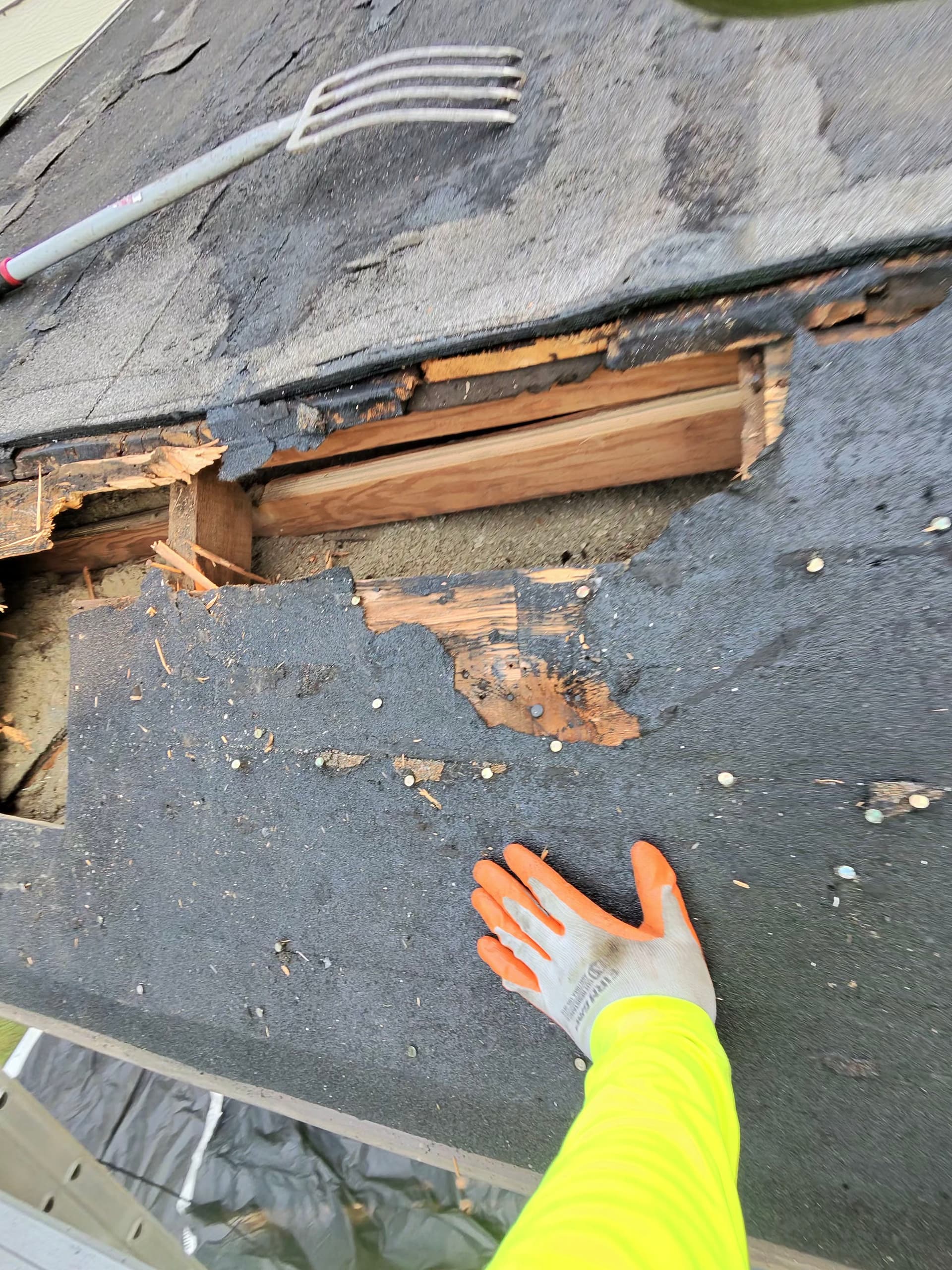 Gallery photos for Storm Damage Flat Roof Repair Uncovered 6 Layers of Roofing: Image #2